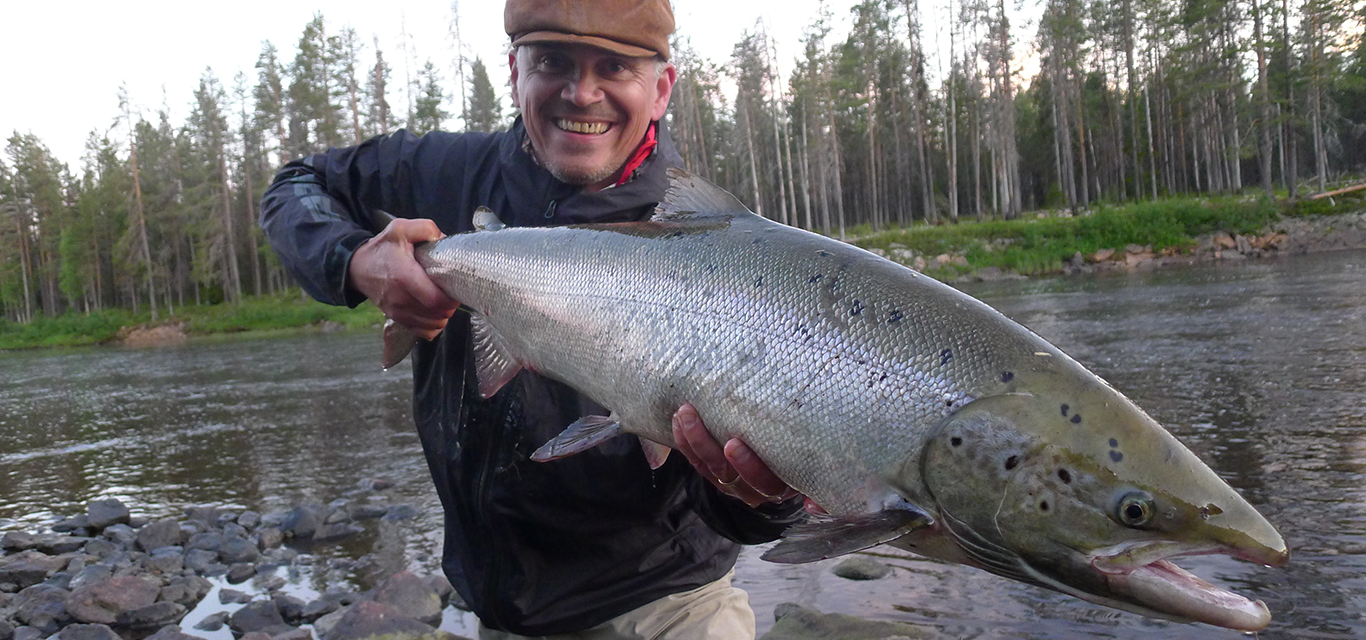 45 Råne river salmon - a unique salmon from Swedish Lapland.
