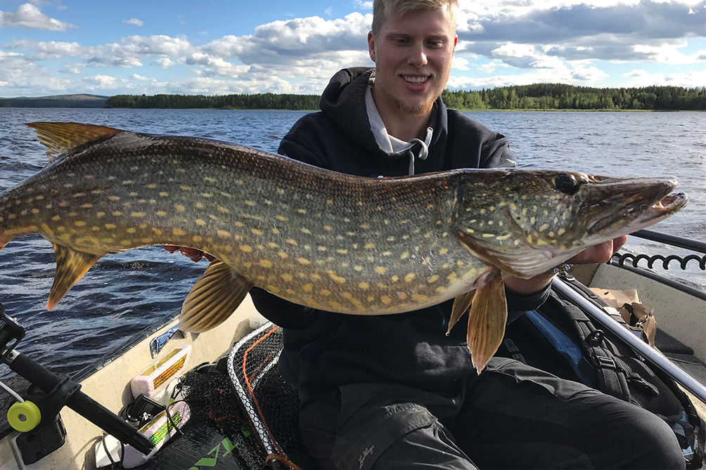 <h3>MONSTER PIKES IN THE ARCTIC</h3> <p>Come and fish the untouched waters of Swedish Lapland, with its wide variety of waters in astonishing environments. We have big lakes and the wild Råne river that holds a good population of big pike.</p> <p><a class=btn-squared href=https://sorbynfishing.com/the-fishing/pike-fishing>I want to fish pikes in the arctic</a></p>